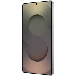 Samsung Galaxy S25 Ultra 12/1 ТБ (Серебряный)