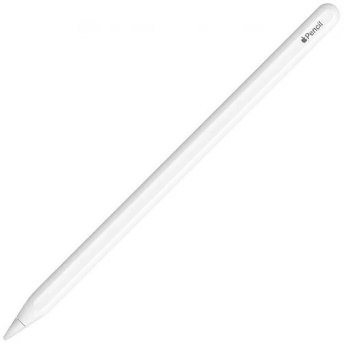 Стилус Apple Pencil (USB-C)